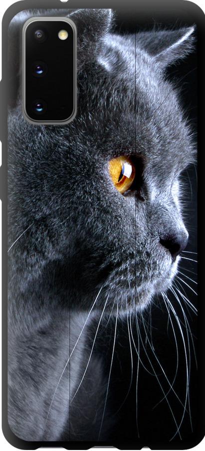 Чохол на Samsung Galaxy S20 Гарний кіт (3038b-1824-42517)
