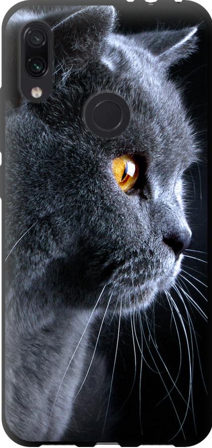 Чехол на Xiaomi Redmi Note 7 Красивый кот (3038b-1639-42517)