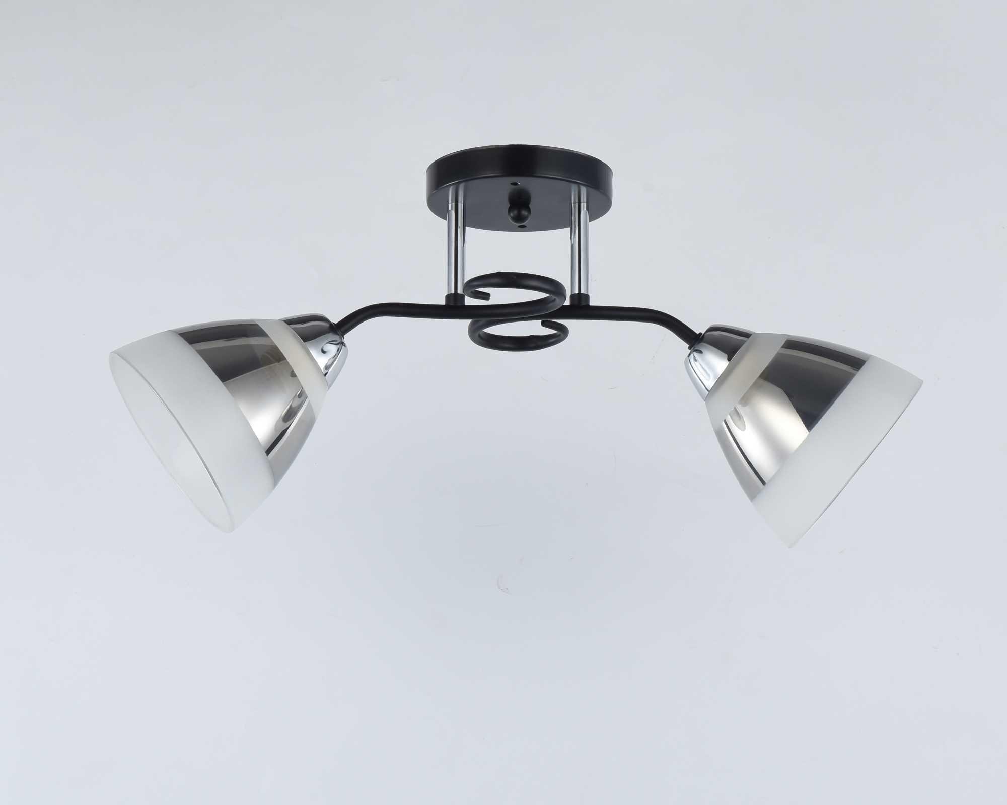 Люстра потолочная Sirius 9135/2 на 2 плафона