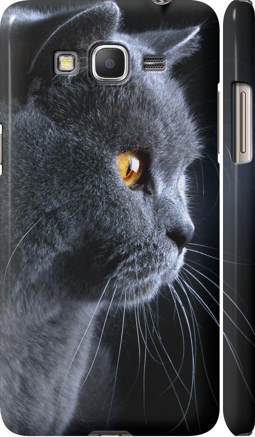 Чехол на Samsung Galaxy Grand Prime G530H Красивый кот (3038c-74-42517)
