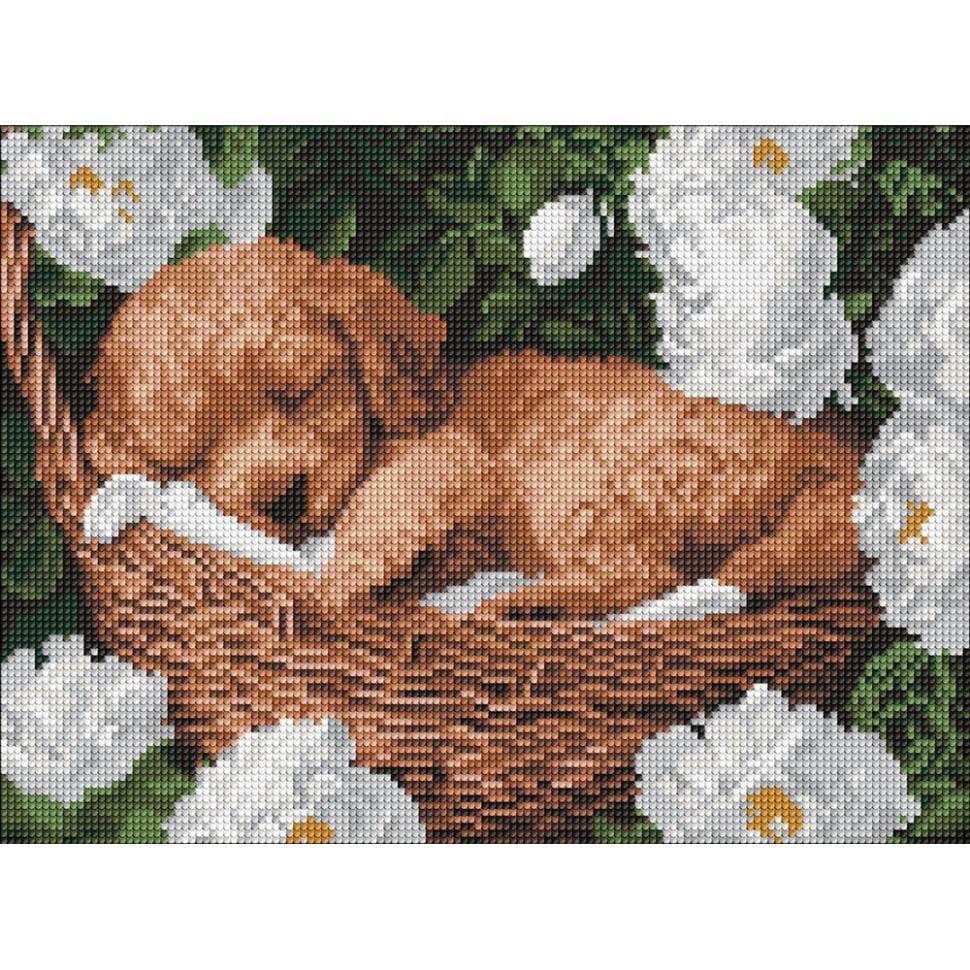 Алмазная мозаика Ideyka Спящий пудель 30x40 см (AMO8170)