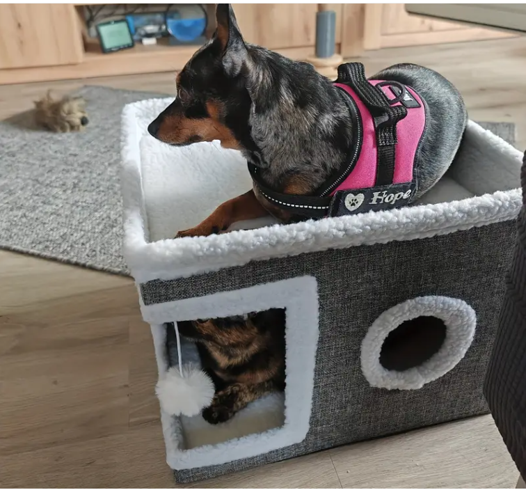 Ліжко-будиночок котяче дворівневе з печерою і кігтеточкою 41x41x35 см Сірий (2011) - фото 7 Ліжко-будиночок котяче дворівневе з печерою і кігтеточкою 41x41x35 см Сірий (2011) - фото 7