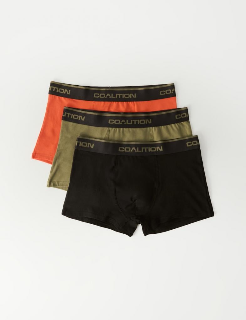 Набор трусов боксеров мужских Diverse CLTN MOUNT 3 шт. XL Разноцветный (5905384076984)