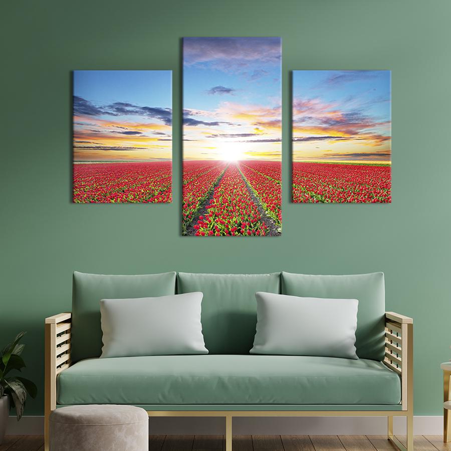 Модульная картина на холсте Триптих Тюльпановое полле в Голландии 66x40 см (595-32)