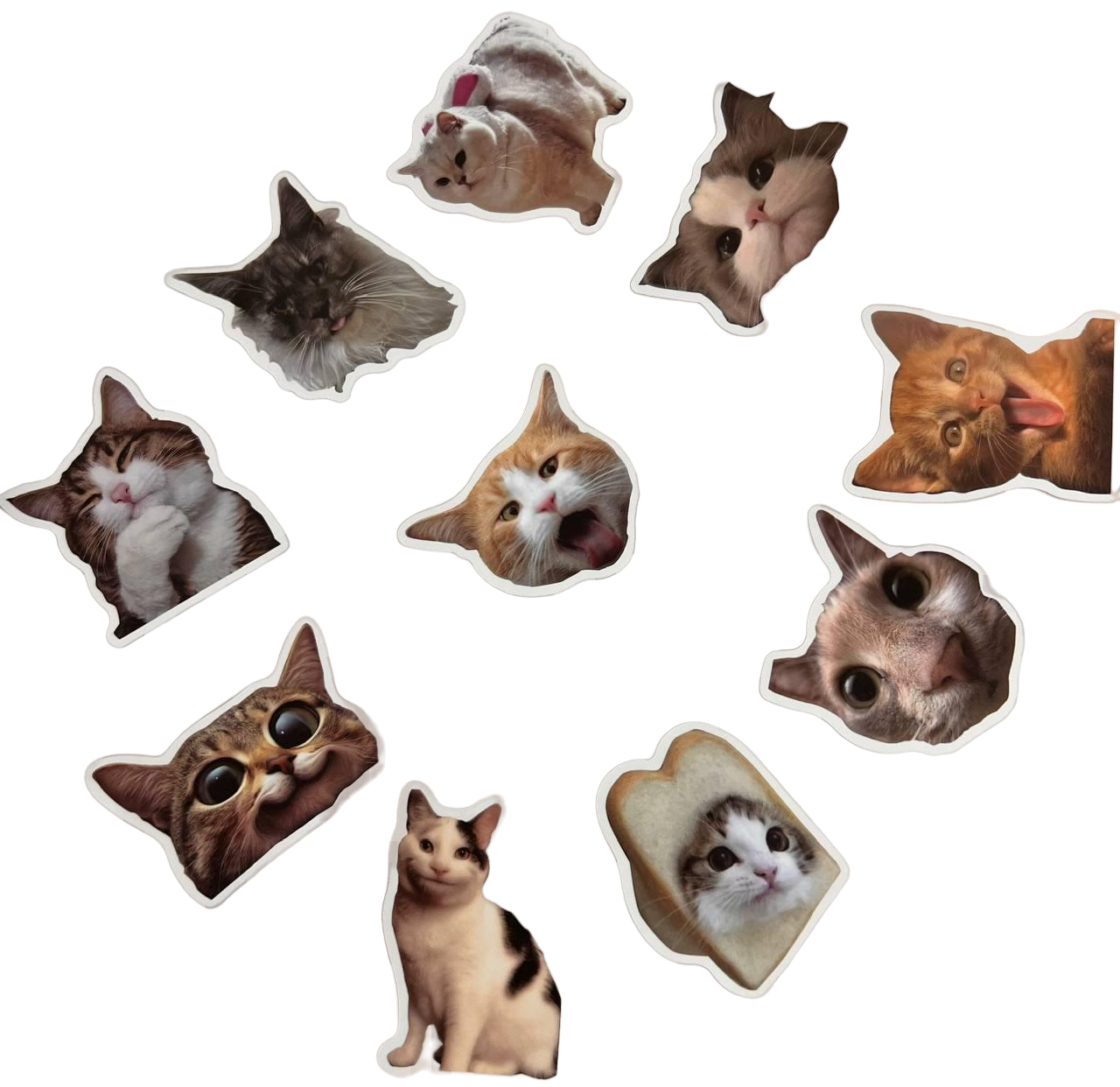Набор виниловых стикеров Котики 10 шт. (18197)
