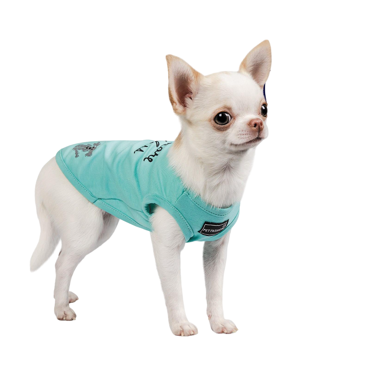 Борцовка Pet Fashion Puppy S Бирюзовый (PR242011)