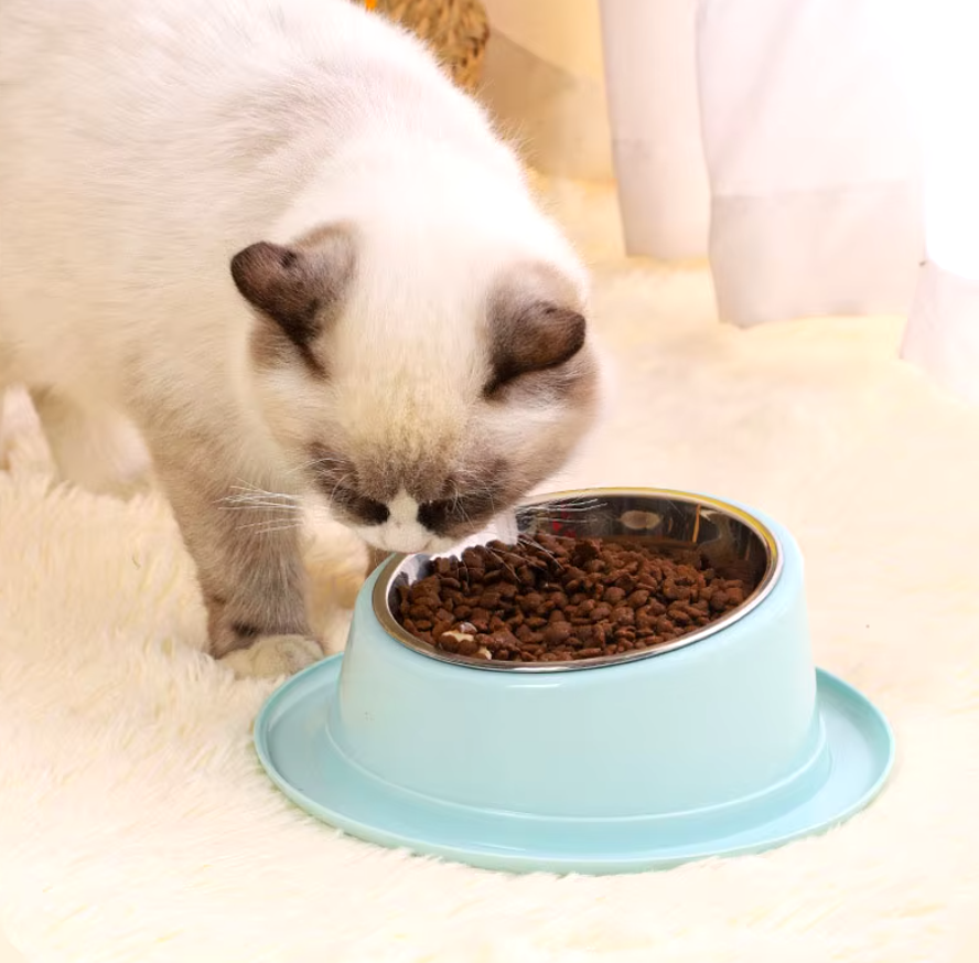 Миска для кошек и собак из безопасных материалов (DG-17-Green) - фото 9