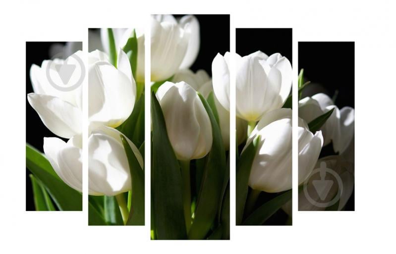 Модульная картина Декор Карпаты 120х80 см Белые тюльпаны (M5-274)