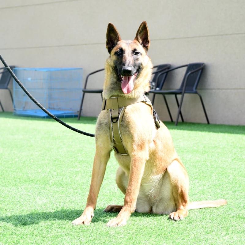 Шлея для собак Hong с ручкой XL 80-115 см Коричневый (2086359892) - фото 7 Шлея для собак Hong с ручкой XL 80-115 см Коричневый (2086359892) - фото 7