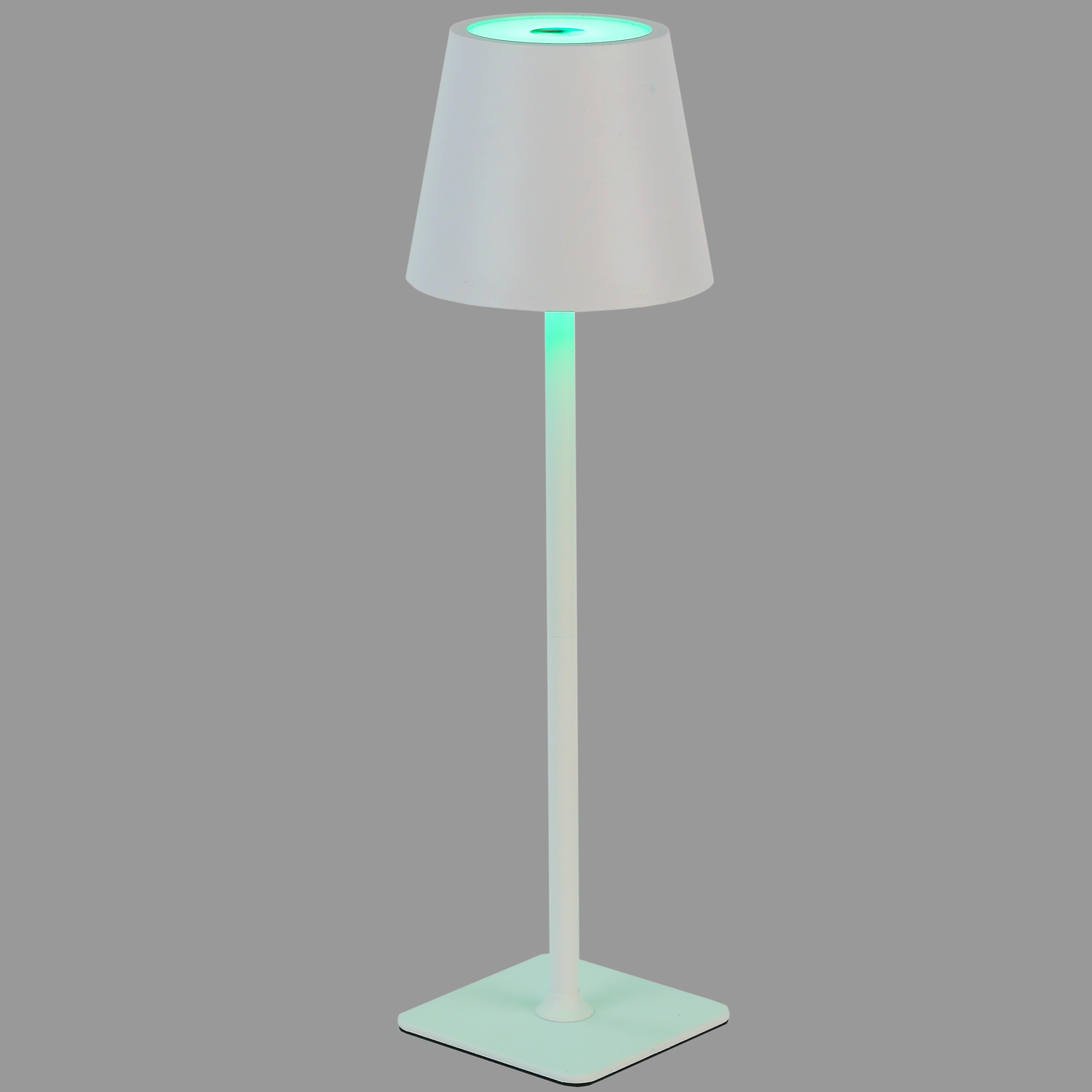 Настольная лампа с цветным светом для бара/кафе/ресторана Белый (795-LTA15SW RGB WHITE)