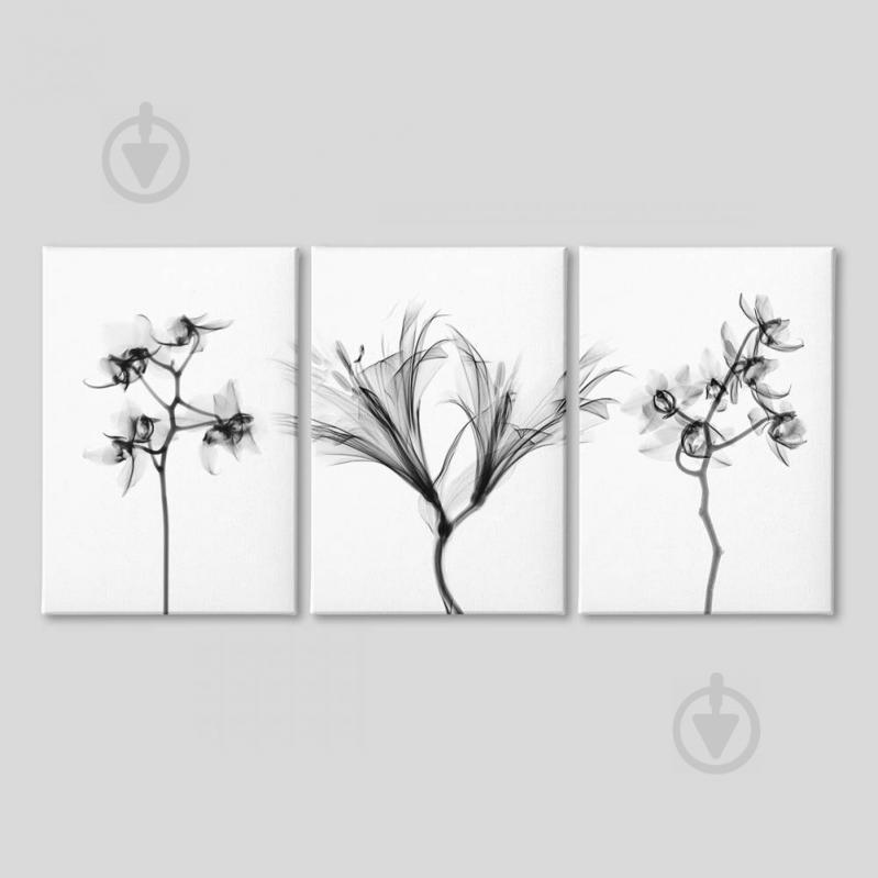 Модульная картина из трех частей Black Flowers Malevich Store 126x80 см (MK311601)