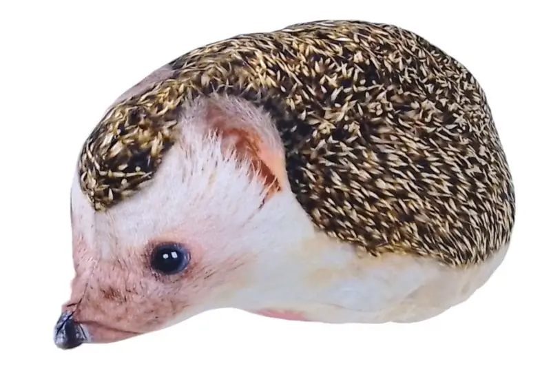 Іграшка м’яконабивна реалістична 1EGI-1 Їжачок S 20 см