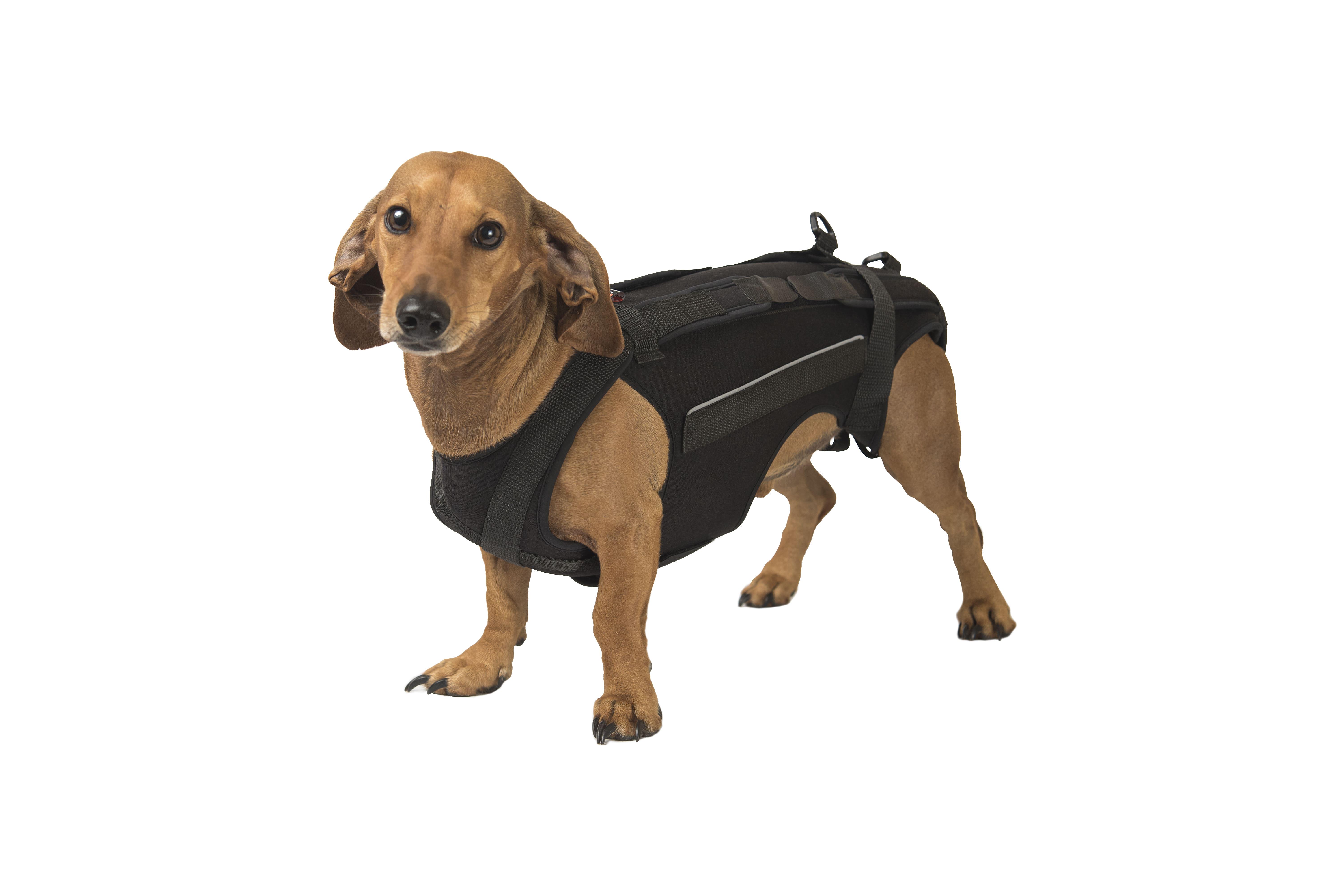 Корсет Frakishtak для позвоночника XS Черный (28283509) - фото 2 Корсет Frakishtak для позвоночника XS Черный (28283509) - фото 2