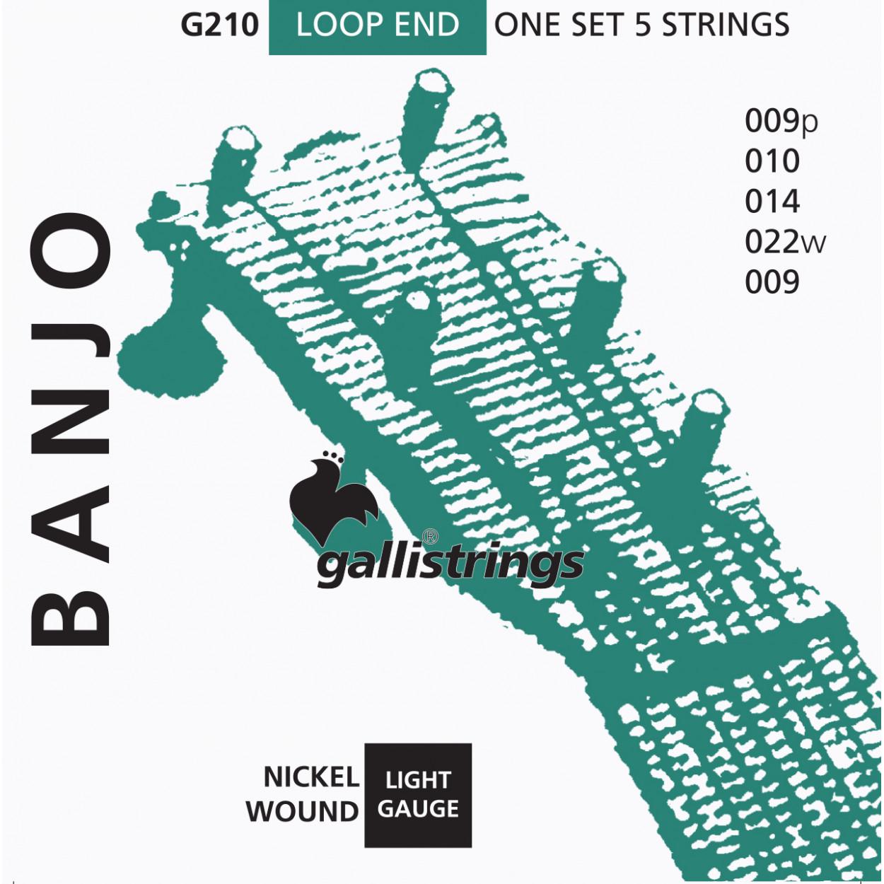 Струны для банджо Gallistrings G210 (64263)
