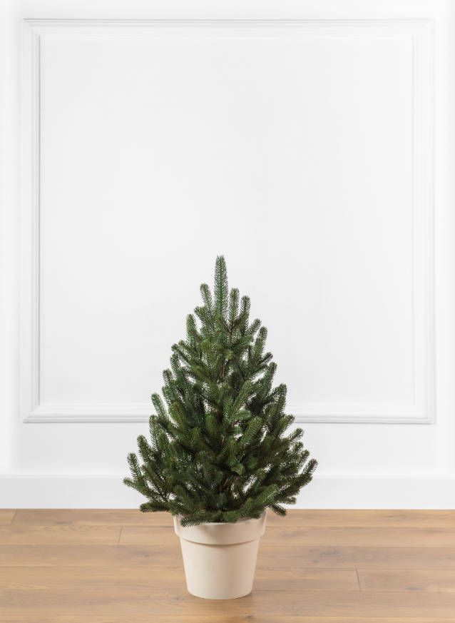 Ялинка штучна лита Sigag Віденська в горщику 70 см Зелений (MR65571)