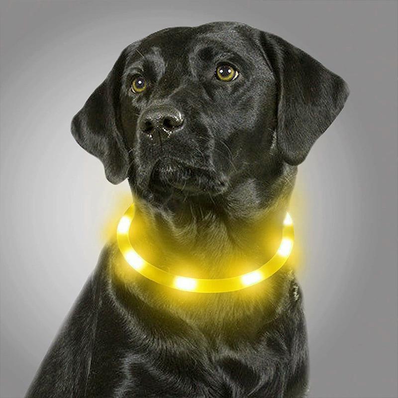 Ошейник iPets LC-01 с LED свечением L Желтый - фото 9 Ошейник iPets LC-01 с LED свечением L Желтый - фото 9