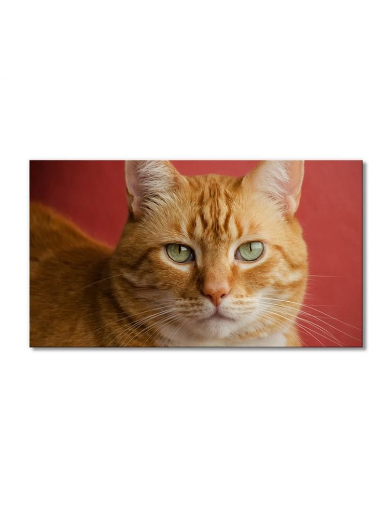 Картина модульная Рыжая кошка 1 модуль 40х60 см