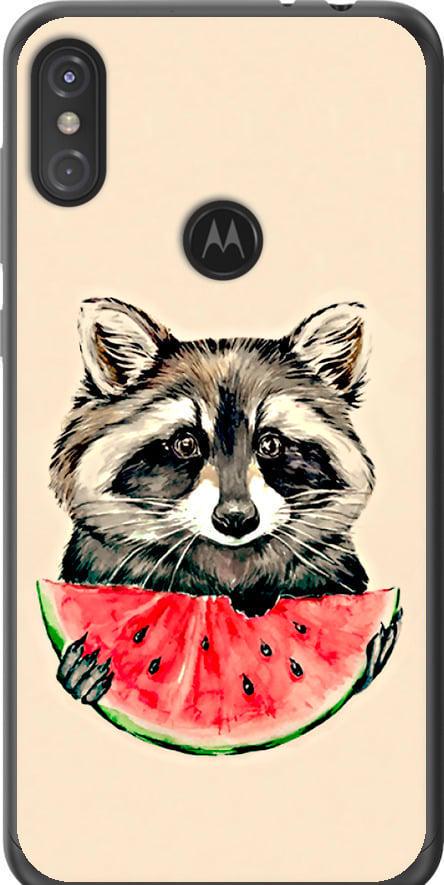 Чехол на Motorola One Power Енотик с арбузом (4605t-1588-42517)