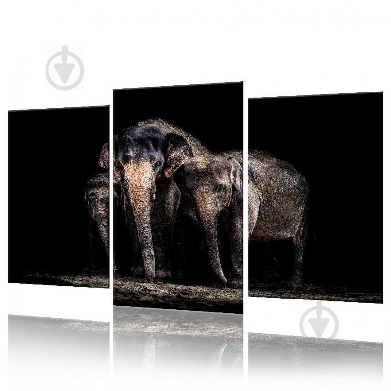 Модульная картина Слоны ADJ0017 размер 45 х 70 см