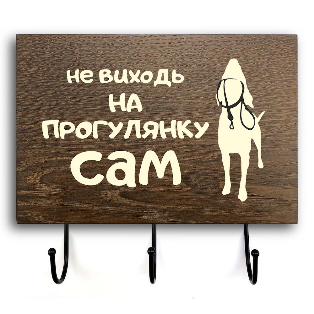 Табличка-вешалка деревянная входная Не выходи на прогулку 20х30 см