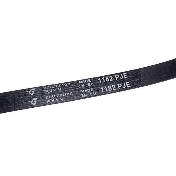 Ремінь J5 4400FR3116D 5 клинів для пральної машини WD-10130N/WD-10150N (00000002160) - фото 2 Ремінь J5 4400FR3116D 5 клинів для пральної машини WD-10130N/WD-10150N (00000002160) - фото 2