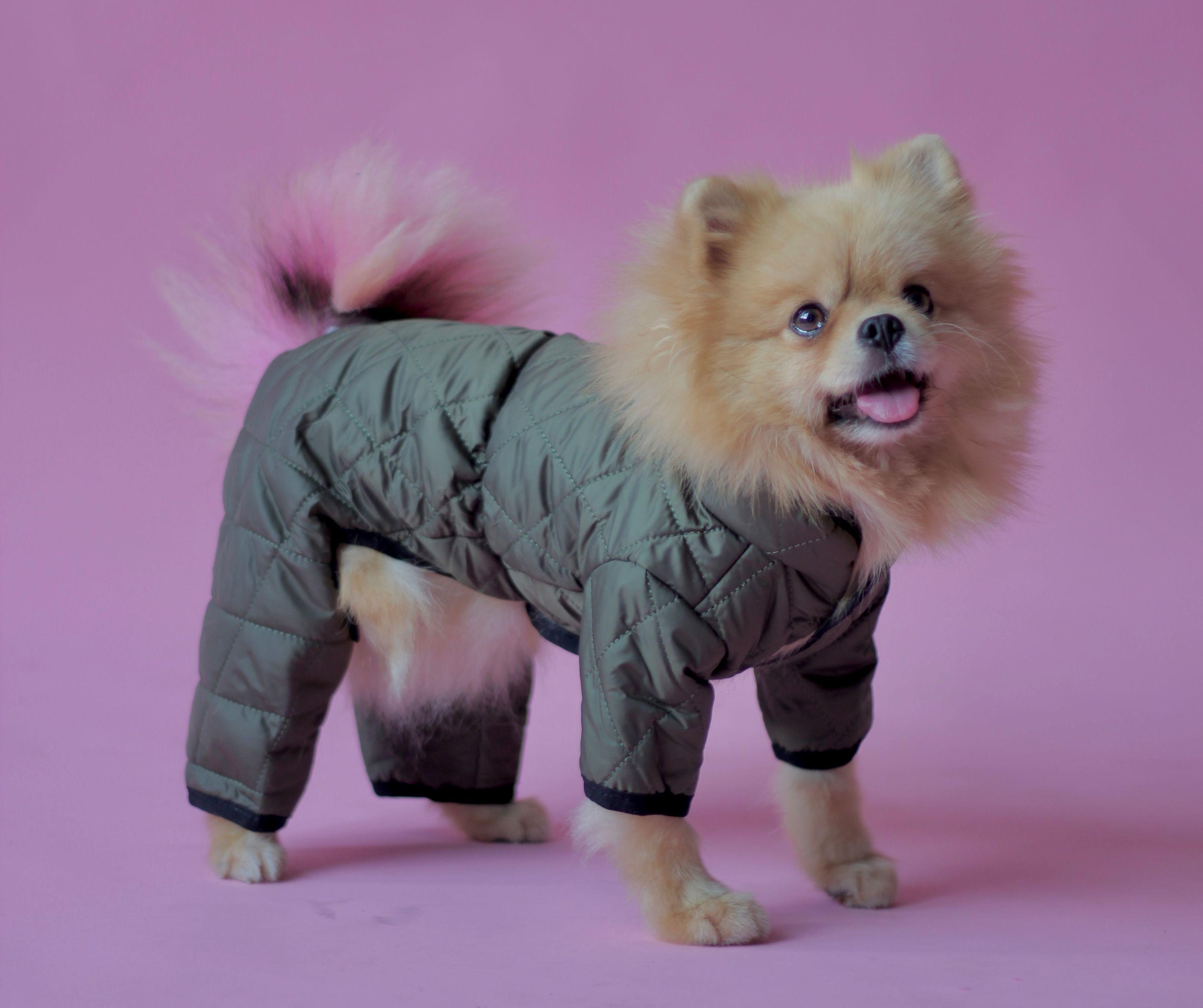 Комбінезон для собак двосторонній AS-7 стьобаний р. 3 Хакі (70579700)