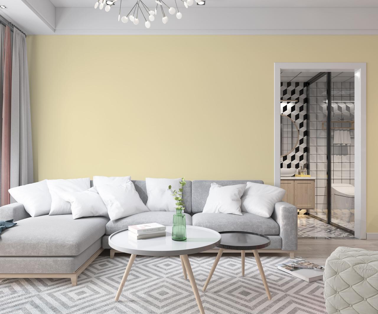 Краска интерьерная латексная Skyline 1015-Y30R 5 л Песчаный (650c0cc44bc23147a0718a05) - фото 3 Краска интерьерная латексная Skyline 1015-Y30R 5 л Песчаный (650c0cc44bc23147a0718a05) - фото 3