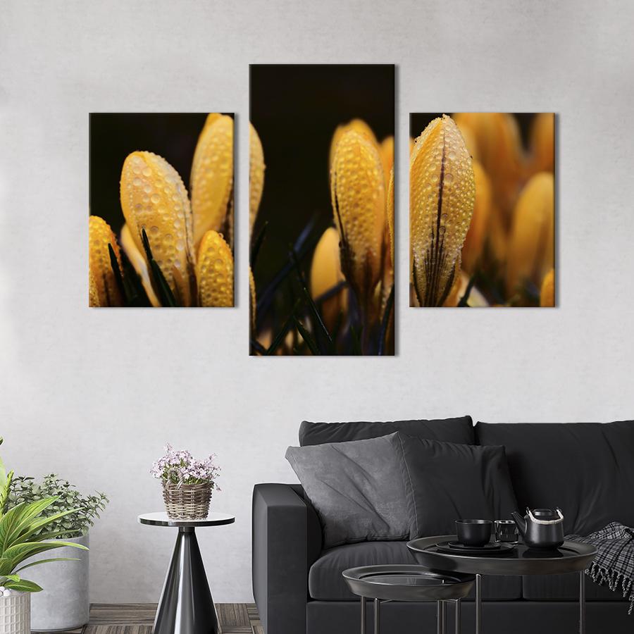 Картина на холсте триптих Жёлтые бутоны крокусов 141x90 см (797-32)