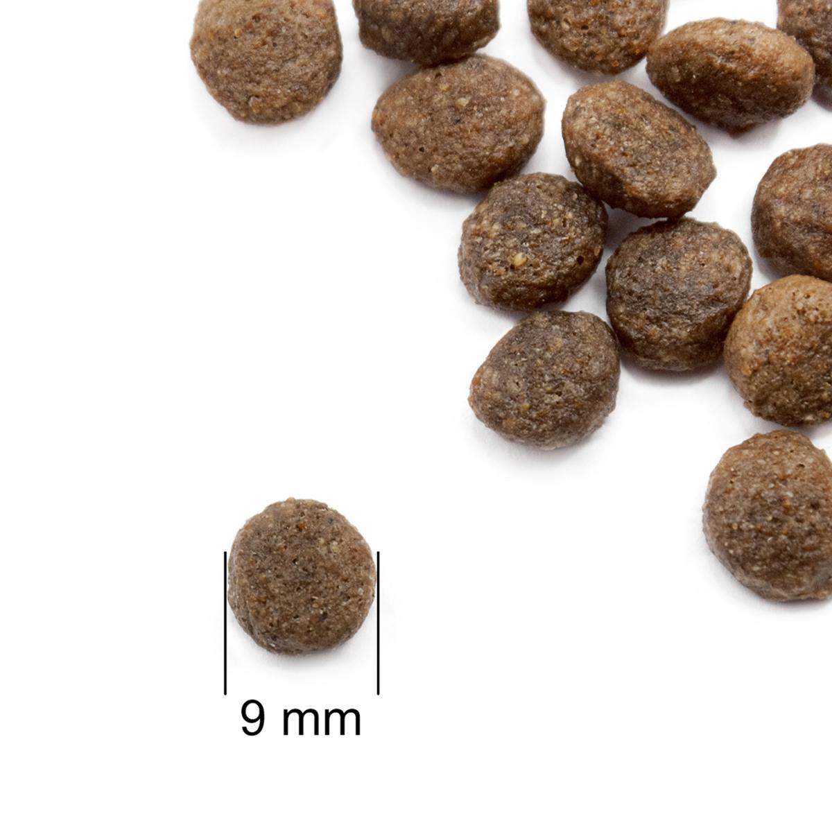 Корм для котів та кошенят Practik Fresh Холістик 4 протеїни 3 кг (3C4F638) - фото 3