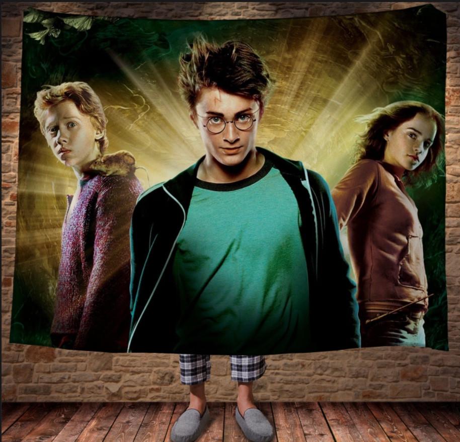 Плед с 3D принтом Гарри Поттер Рон и Гермиона 150x200 см (epi_0373)