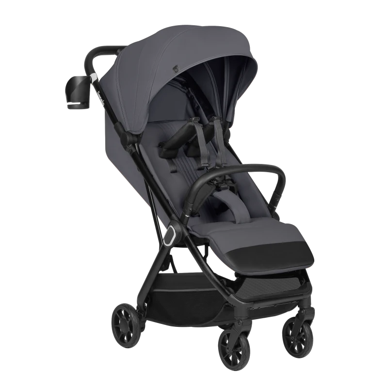 Коляска прогулочная Lionelo BESS Grey Stone