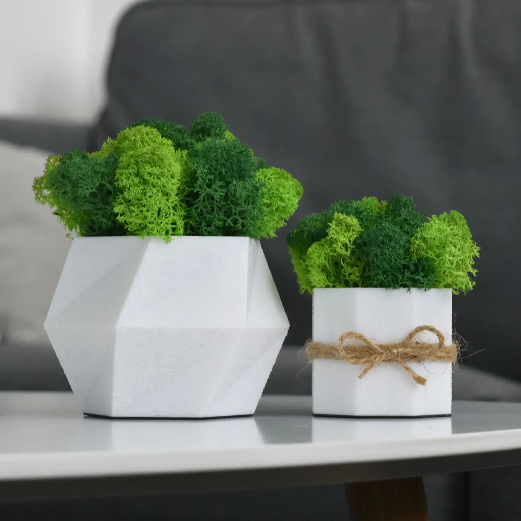 Комплект кашпо со стабилизированным мхом Ягель 2 шт. Белый/Зеленый/Салатовый (NA-B-3)