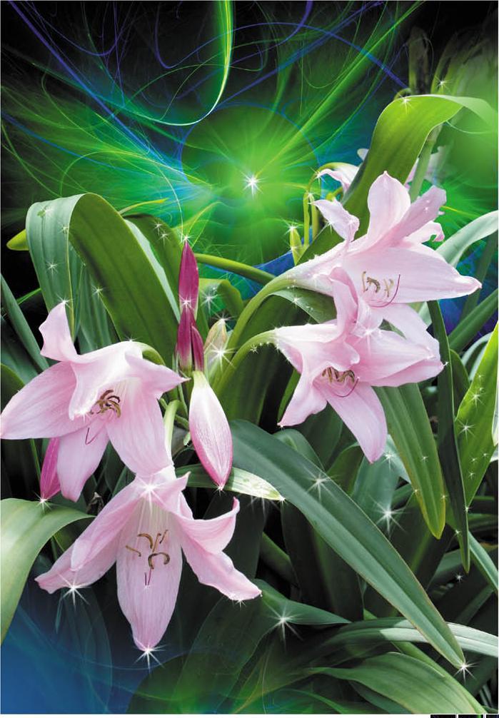 Фотообои на бумажной основе Artdecor Лилия 194х268 см (2000000450827)