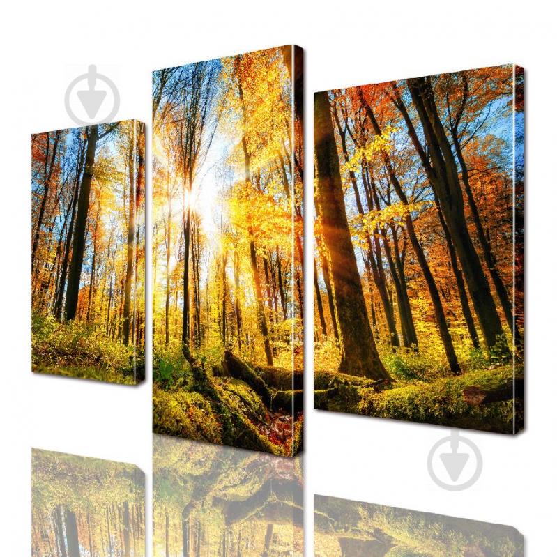 Модульная картина ArtStar ADNA0026 размер 120 х 180 см