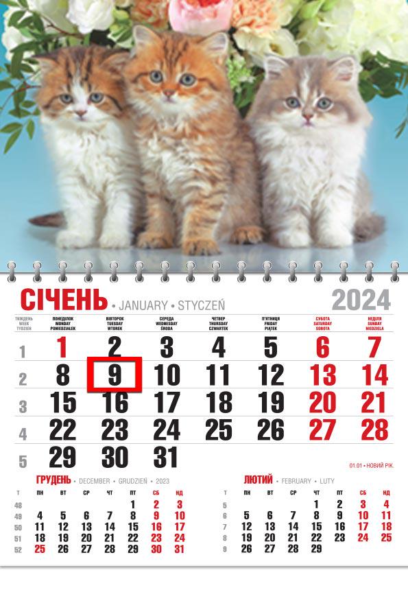 Календар 2024 офісний Економ Тріо котиків та ароматні квіти