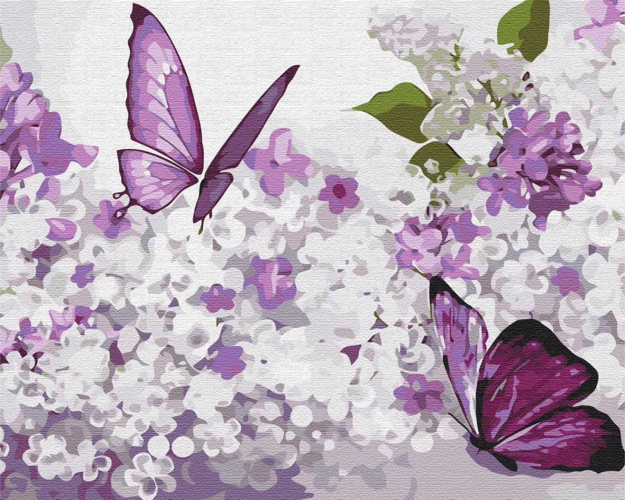 Картина по номерам BrushMe Сиреневые бабочки 40х50 см (BS37228)
