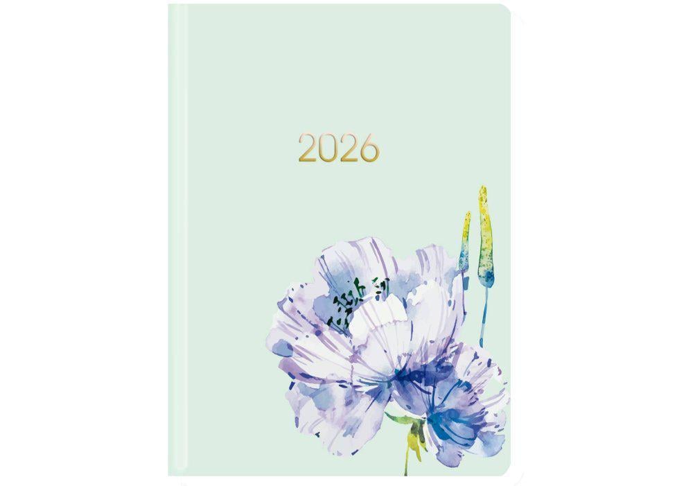 Дневник датированный 2026 Economix Color A5 336 стр. принт (E21852)