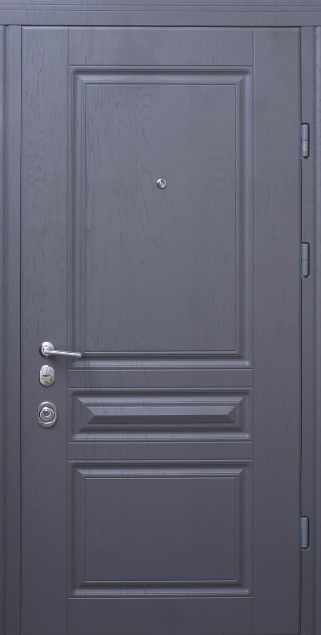 Входные двери Straj Рубин Двухцветные 850/950х2040х95 мм Л/П Дуб графит