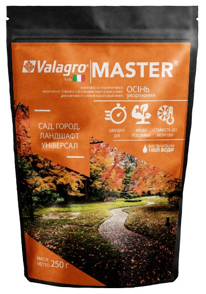 Удобрение комплексное минеральное универсальное для сада огорода и ландшафта ValagroMaster NPK 13.40.13 осень 250 г