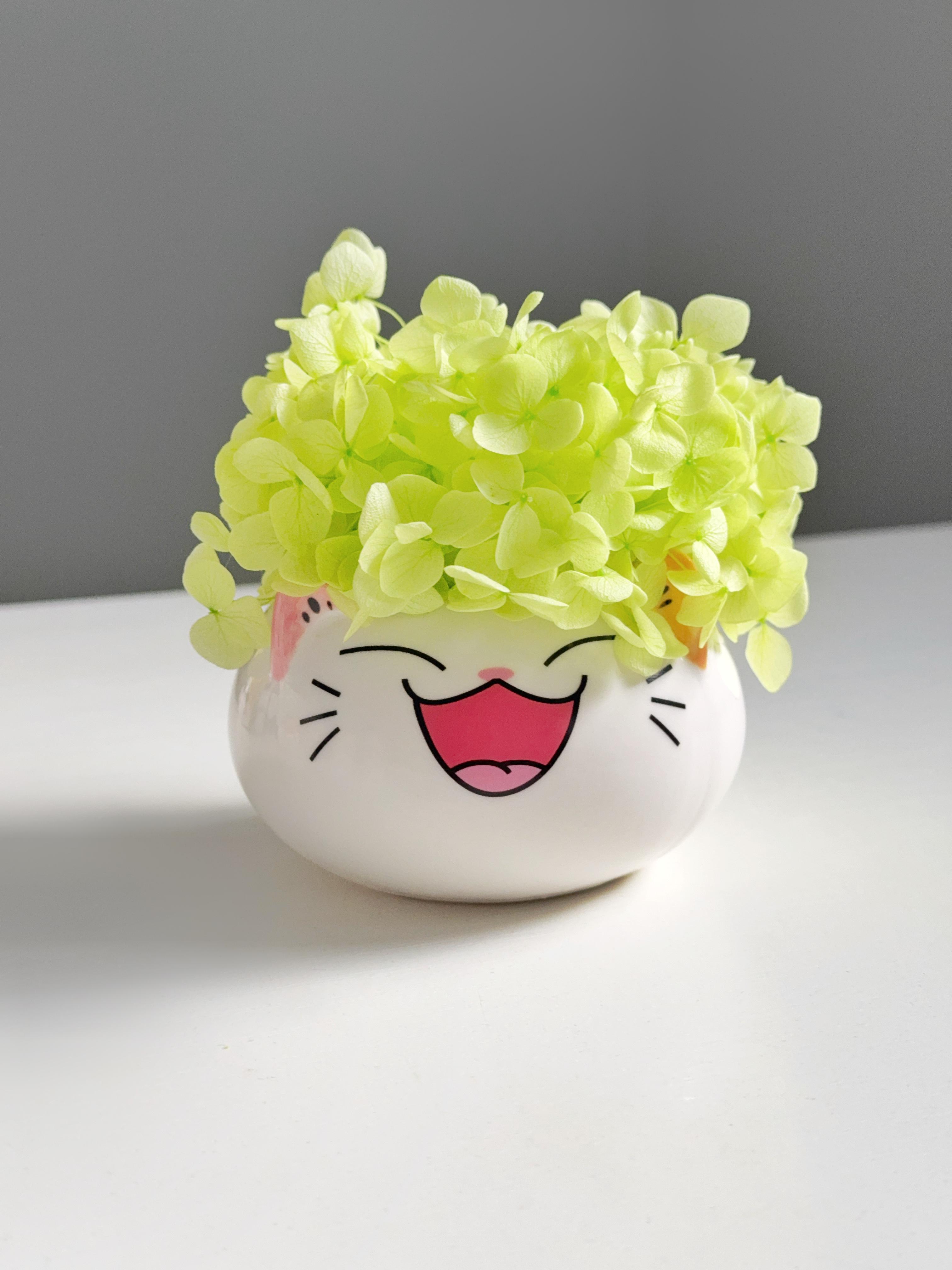 Кашпо круглий кіт із салатовою гортензією 9х9х6 см