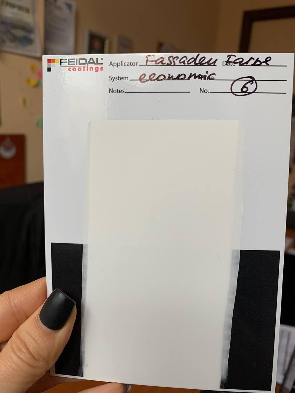 Фарба фасадна Feidal Fassaden Farbe economic 10 л Прозорий (1886455450) - фото 2 Фарба фасадна Feidal Fassaden Farbe economic 10 л Прозорий (1886455450) - фото 2