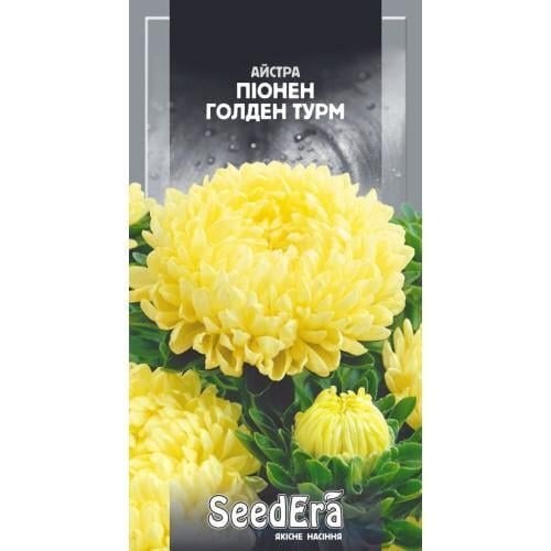 Семена цветов Астра Пионен Голден Турм Семейный сад 0,25 г (CS-0916)