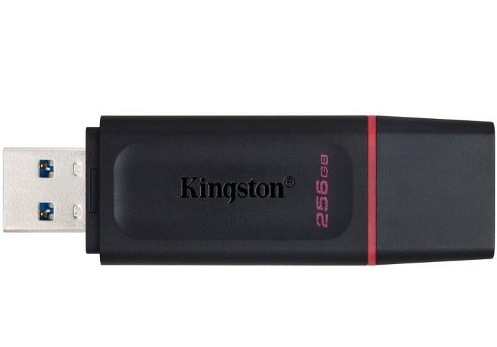 Флеш пам'ять Kingston DataTraveler Exodia 256 Гб Чорний/Рожевий (DTX/256GB) - фото 5