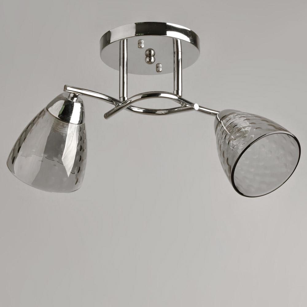 Люстра потолочная Lighthouse SRS-19079/2A CR Хром/Дымчатый