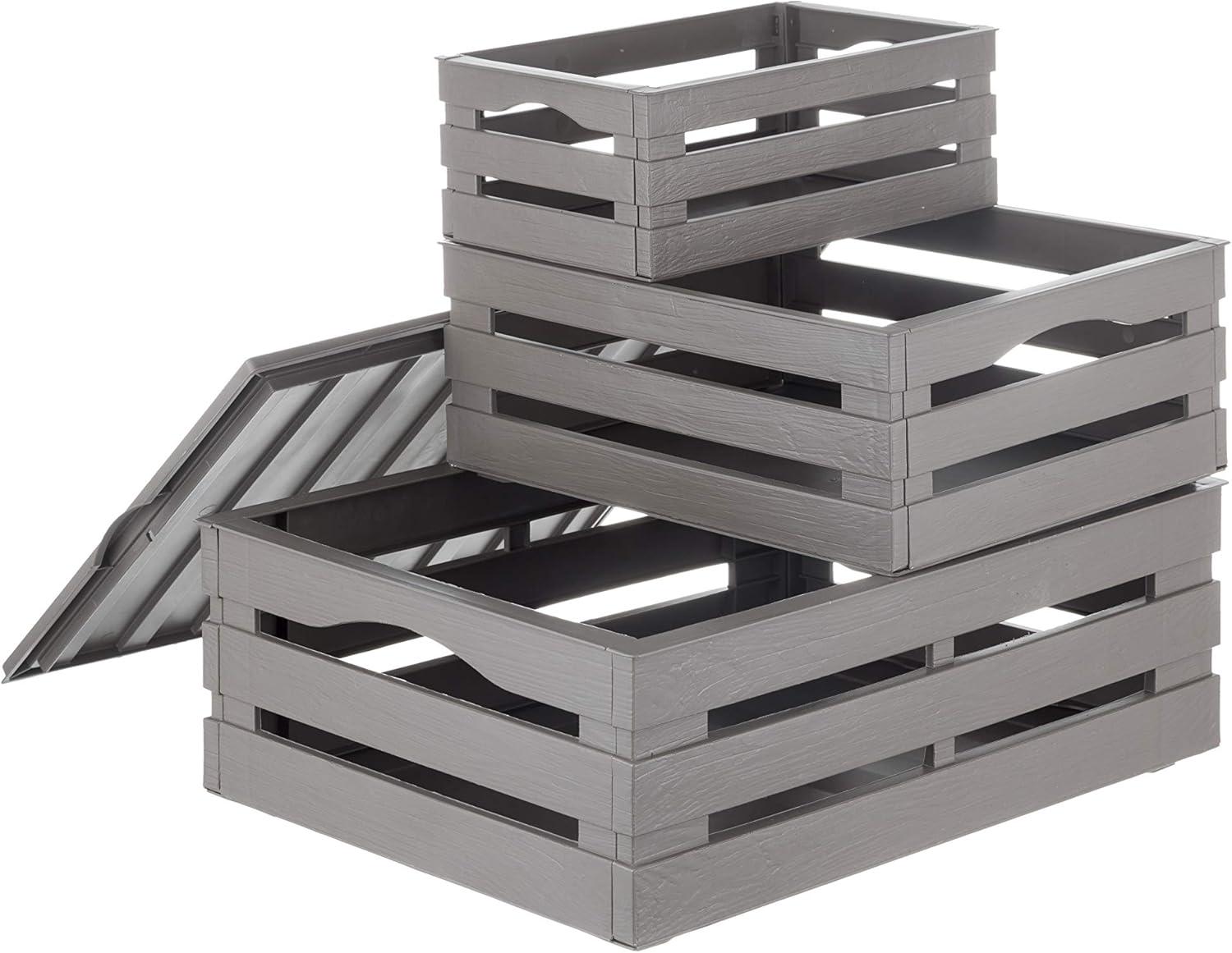 Набор ящиков для хранения Tina Tris Серо-бежевый (3993)