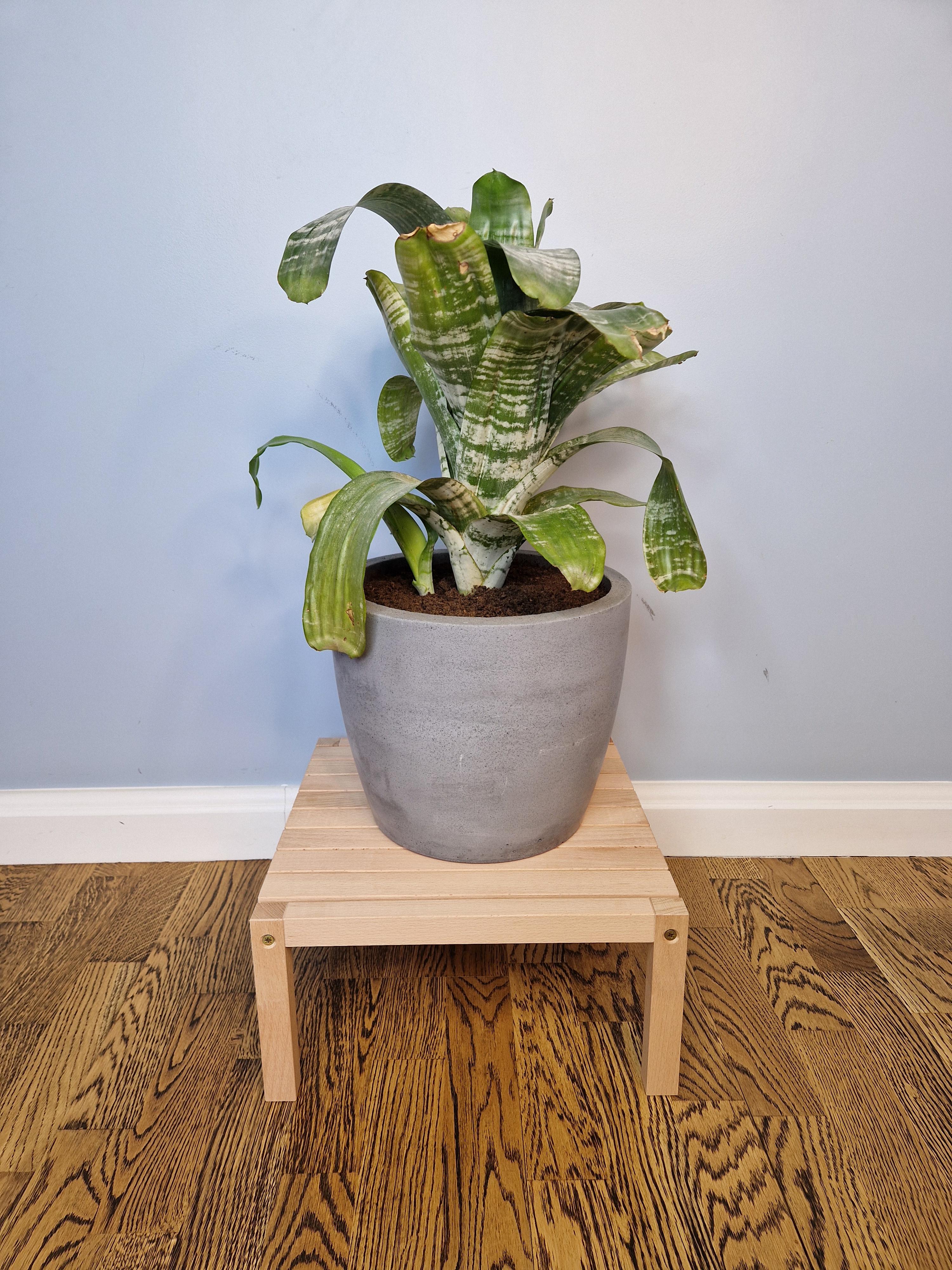 Підставка для вазону WoodDecor з дерева без покриття ⌀ 6 см (пв18бп) - фото 2