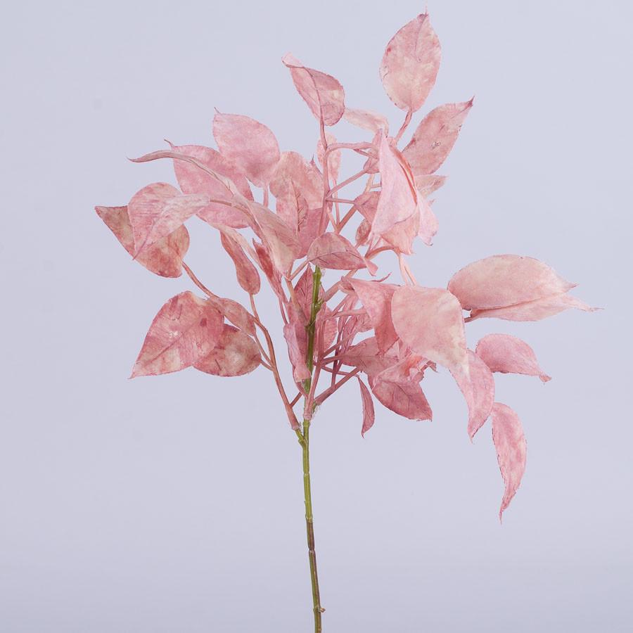 Веточка фикуса Коралловый (4414-2)