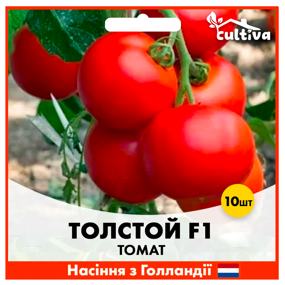Семена томата Bejo Толстой F1 10 шт. (T11)