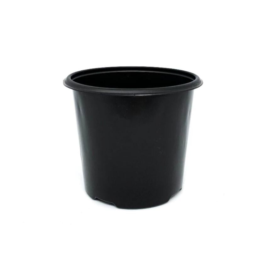 Набор горшков для рассады с перфорацией 50 шт. 0,45 л/9 см (BP-6769) Набор горшков для рассады с перфорацией 50 шт. 0,45 л/9 см (BP-6769)