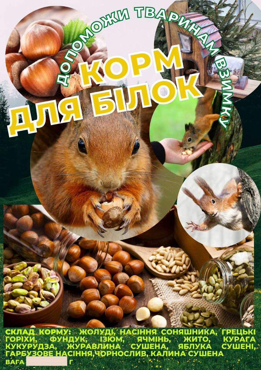 Корм для белок фундук/орех/желуди/семена/рожь/ячмень/изюм/курага/сушеные яблоки/клюква и чернослив 400 г Корм для белок фундук/орех/желуди/семена/рожь/ячмень/изюм/курага/сушеные яблоки/клюква и чернослив 400 г